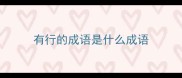 有行的成语是什么成语