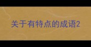 关于有特点的成语
