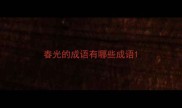 春光的成语有哪些成语