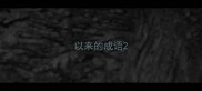 以来的成语