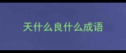 天什么良什么成语