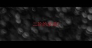 二轮的成语