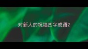 对新人的祝福四字成语