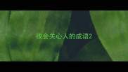 很会关心人的成语