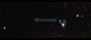 花的形状的成语