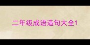 二年级成语造句大全