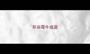 形容犀牛成语