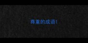 尊重的成语