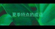夏季特点的成语