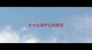 水什么如什么的成语