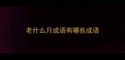 老什么月成语有哪些成语