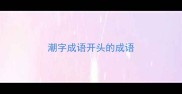潮字成语开头的成语