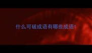 什么可破成语有哪些成语