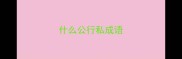 什么公行私成语