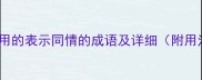 10个最常用的表示同情的成语及详细附用法示例