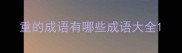 重的成语有哪些成语大全