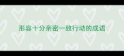 形容十分亲密一致行动的成语