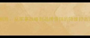 以军制胜从军事战略到品牌营销的降维打击法则