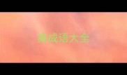 爽成语大全