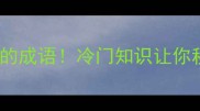 最后一个字是半字的成语冷门知识让你秒变语文课代表
