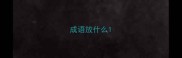 成语放什么