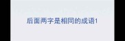 后面两字是相同的成语