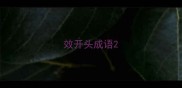 效开头成语