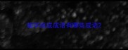 相字组成成语有哪些成语