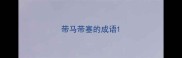 带马带塞的成语