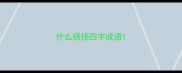 什么扬扬四字成语