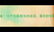 鼠年必备10个与鼠相关的成语看完秒变聊天高手