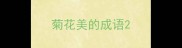 菊花美的成语