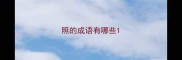 照的成语有哪些