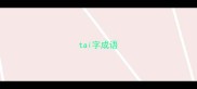 tai字成语