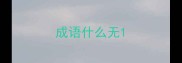 成语什么无
