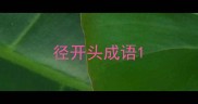 径开头成语