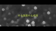 什么固是什么成语
