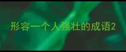 形容一个人强壮的成语