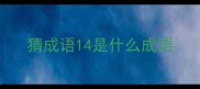 猜成语14是什么成语
