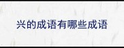 兴的成语有哪些成语