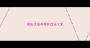 离的成语有哪些成语大全