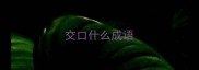 交口什么成语