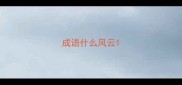 成语什么风云