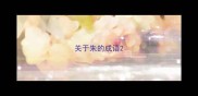关于朱的成语