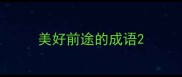 美好前途的成语