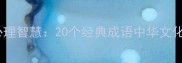 成语中的心理智慧20个经典成语中华文化深层思维
