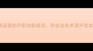 10个助你职场逆袭的升职加薪成语学会这些术语升官加薪不是梦