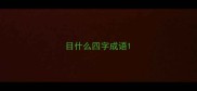 目什么四字成语