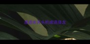 成语长开头的成语接龙