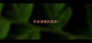 形容强硬的成语